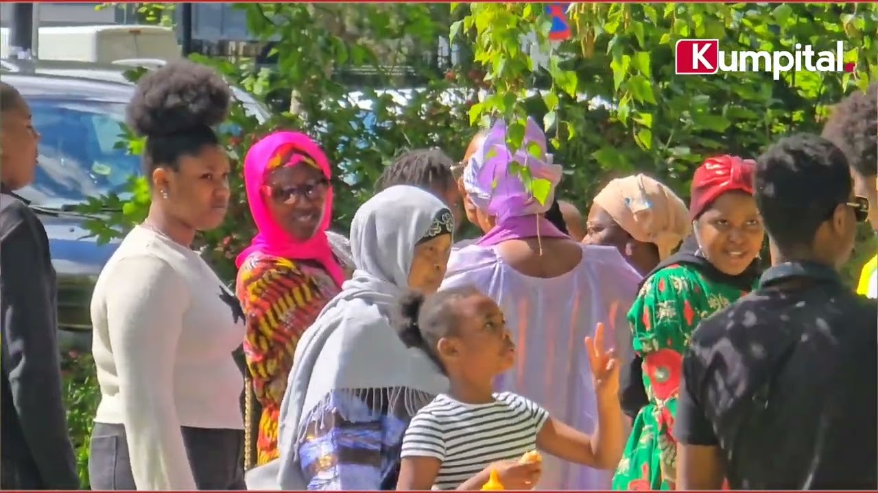 Paris 🇫🇷 : Barbecue organisé par l'Association des Ressortissants de Dinguiraye 🇬🇳 en France 🇫🇷