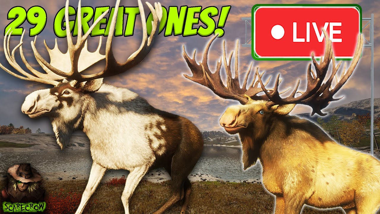 Chasing Our 30th Great One On Revontuli Coast! The Moose Great One Must Show! Call of the wild