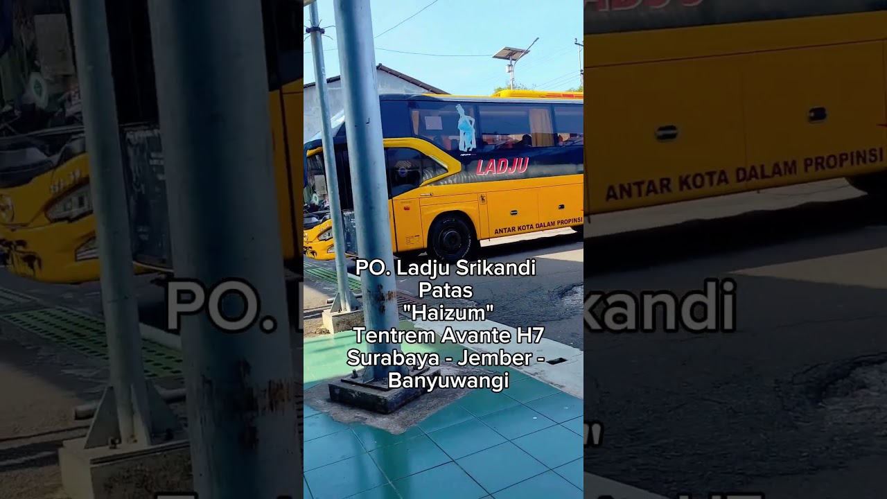 Hunting Bis di Terminal Lumajang. Banyak pilihan gaes! #bismania #bismaniacommunity #huntingbus