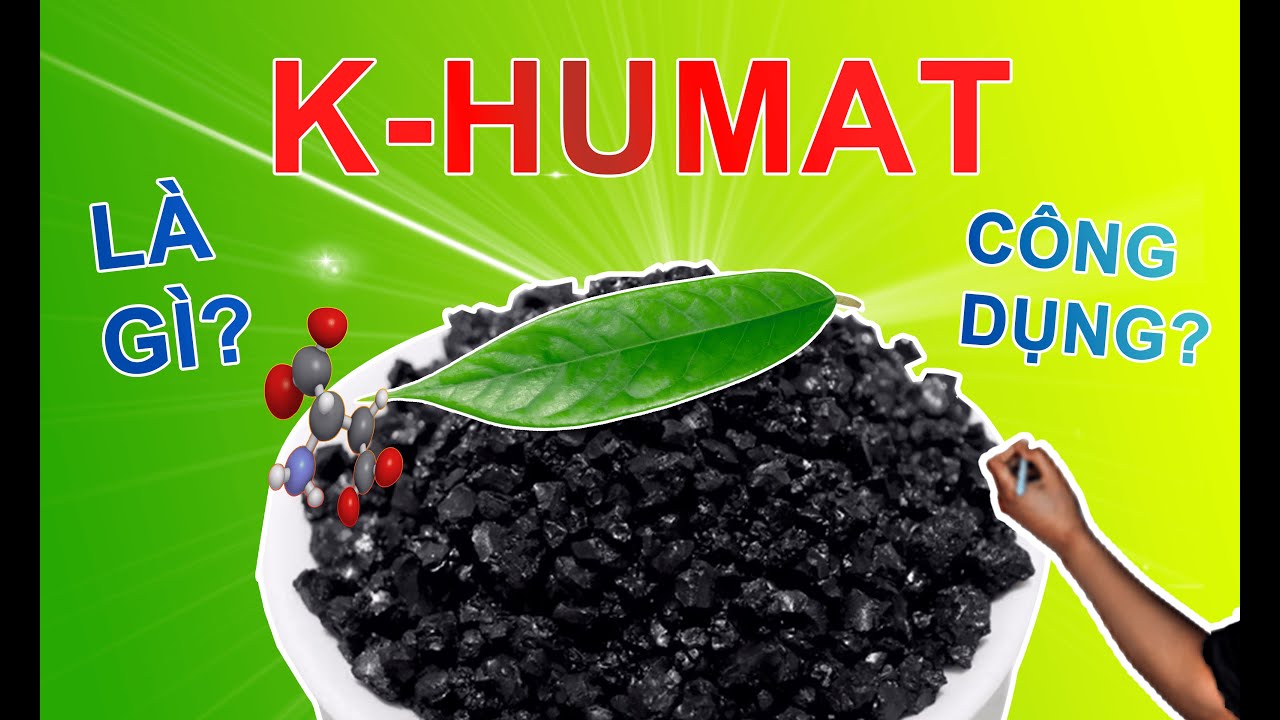 K-HUMAT L&Agrave; G&Igrave;? TẠI SAO N&Oacute; CẦN THIẾT CHO C&Acirc;Y TRỒNG CỦA BẠN