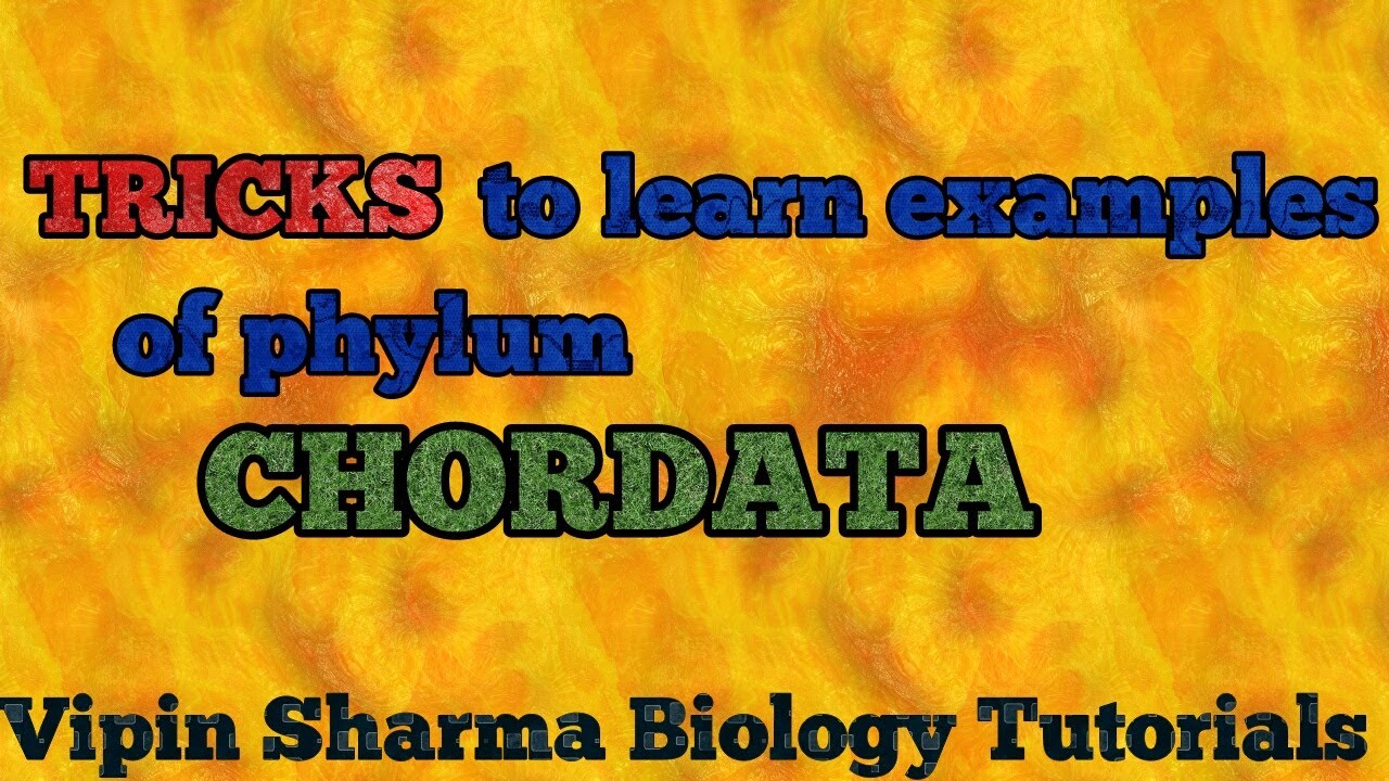 Tricks to learn examples of CHORDATES for NEET , JIPMER and AIIMS .