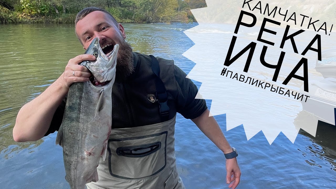 Камчатка! Река Ича. Неделя рыбалки и кайфа | Павликрыбачит