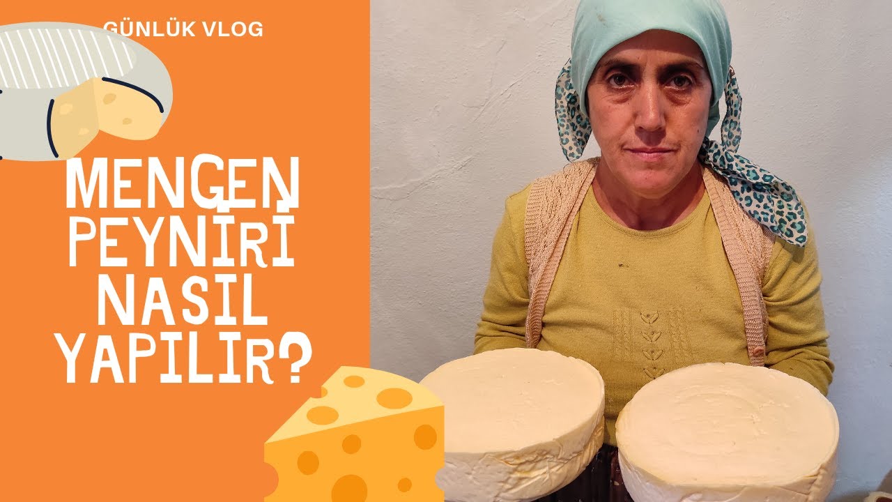 KÖY PEYNİRİ NASIL YAPILIR? DOĞAL PEYNİR MAYASI NASIL YAPILIR ?