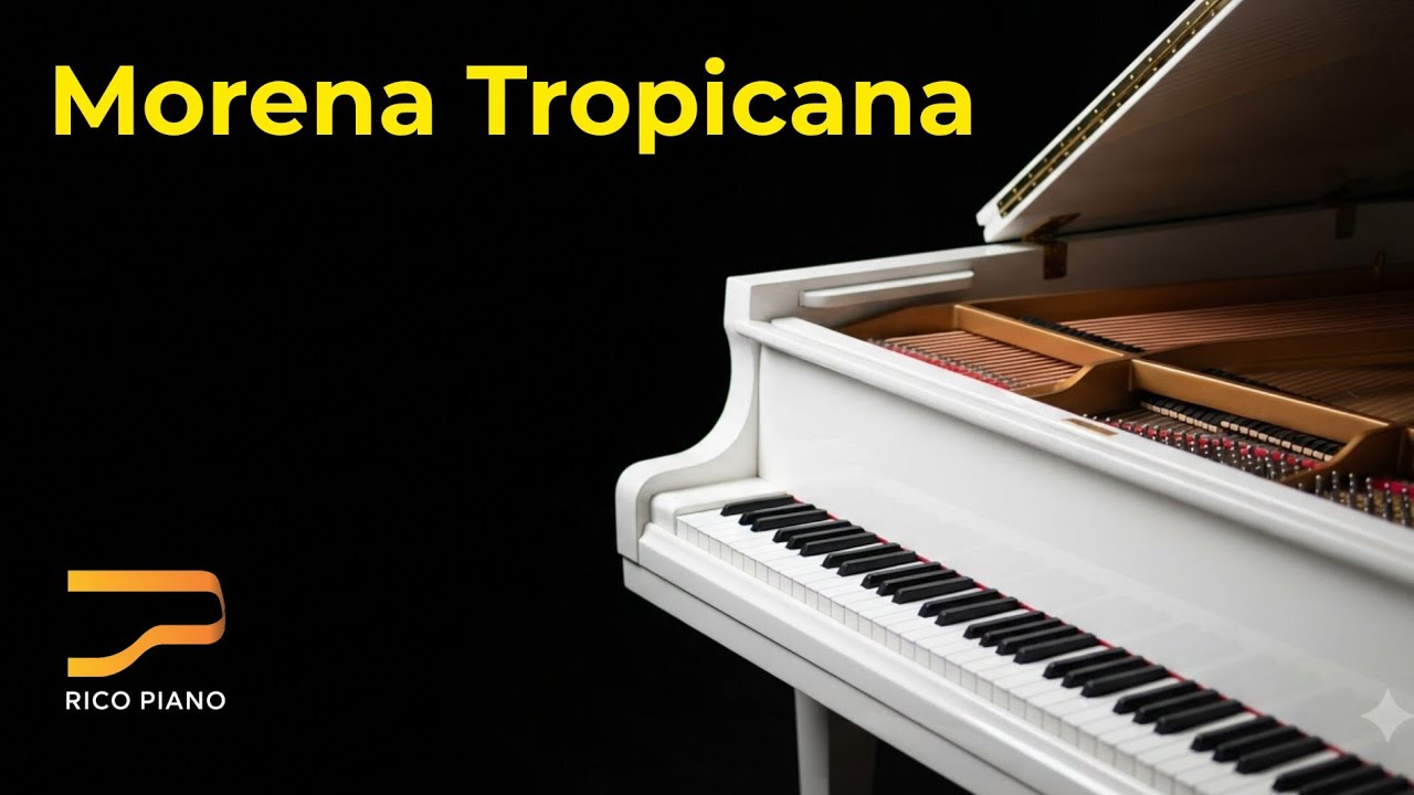 Tocando ''Morena Tropicana'' - Alceu Valença