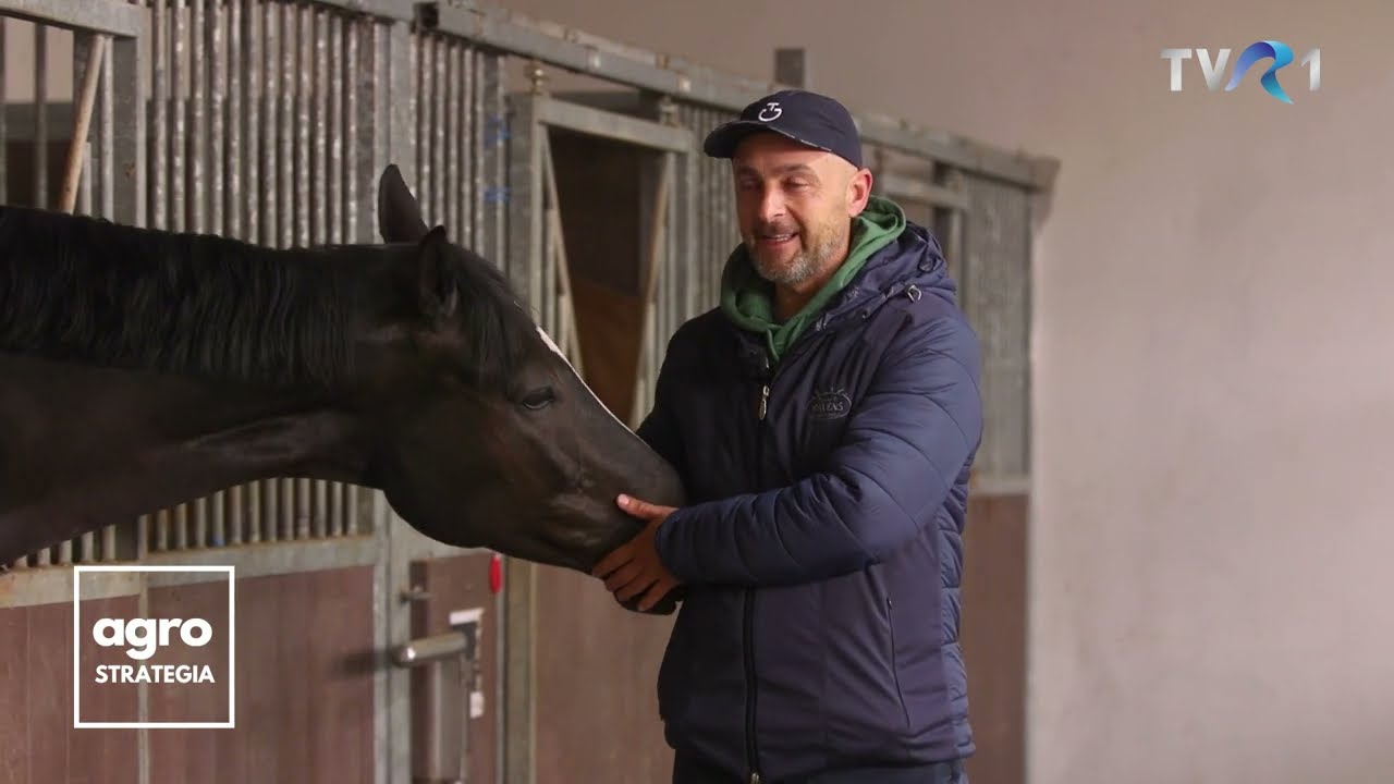 Afacerea cu cai în România. Centrul de echitație condus de Vadim Iavorovski