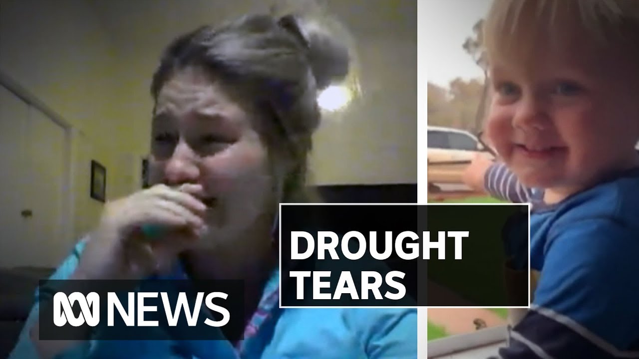 Despite best rain in years, effects of the drought still hit hard for farmers | ABC News
