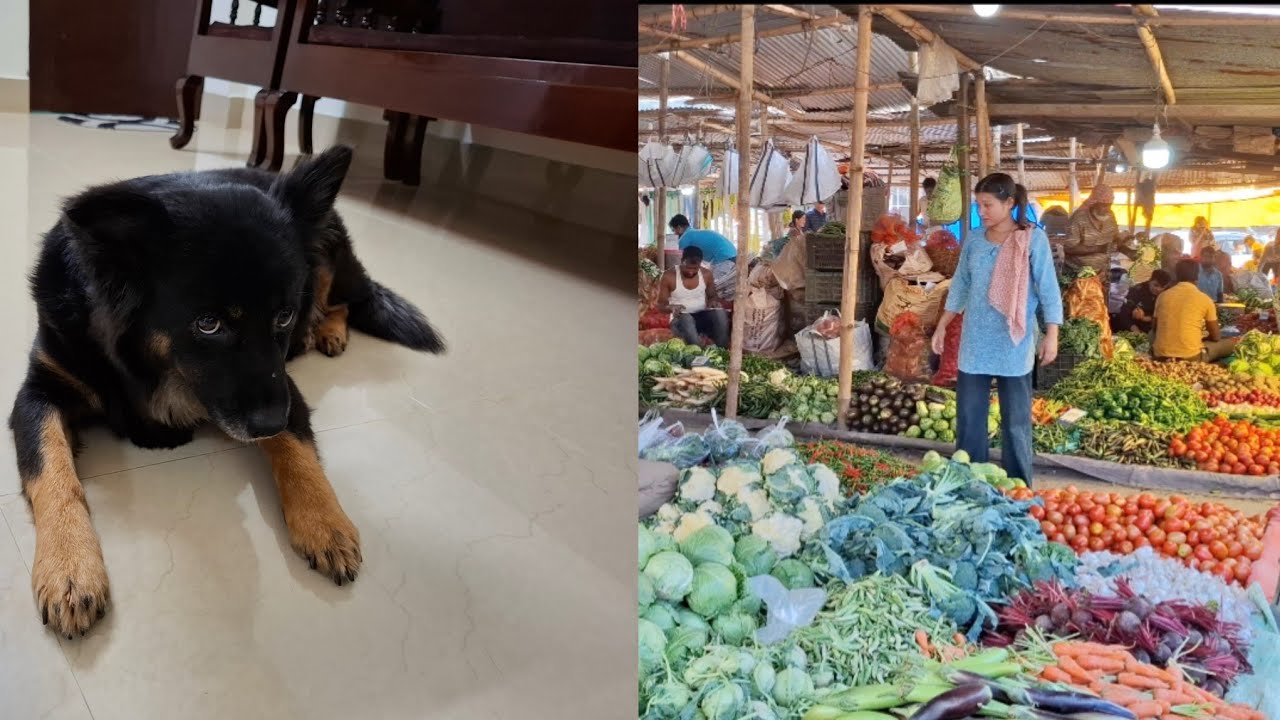 Marketing Day || My Dog Waiting for Me at Home || Itanagar || Arunachal Pradesh || Vlog 41 ||