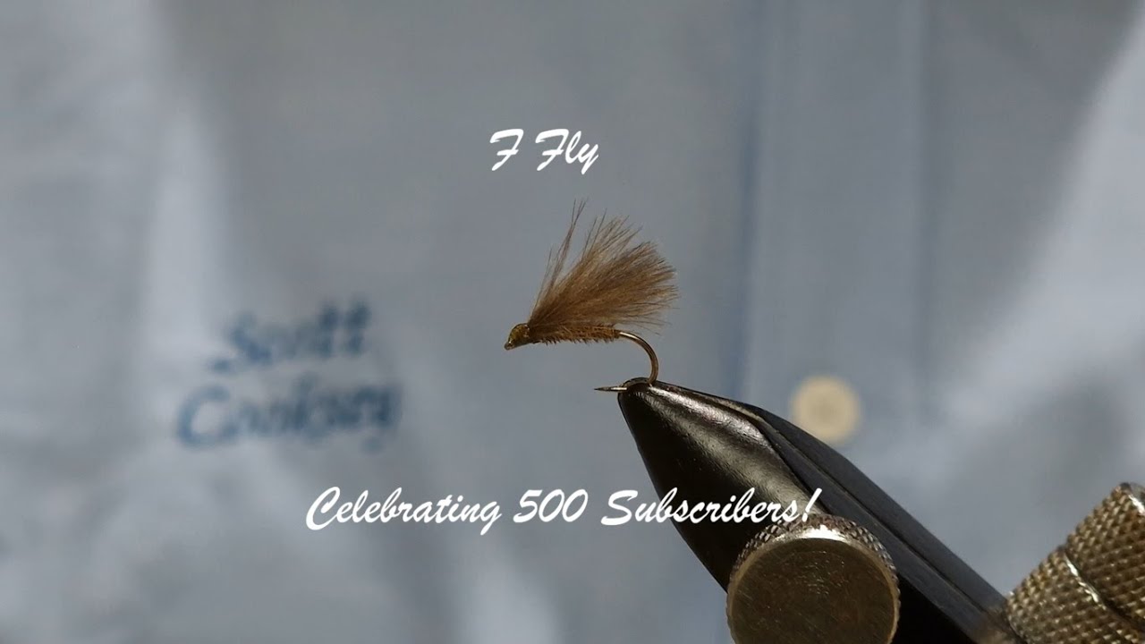 F Fly