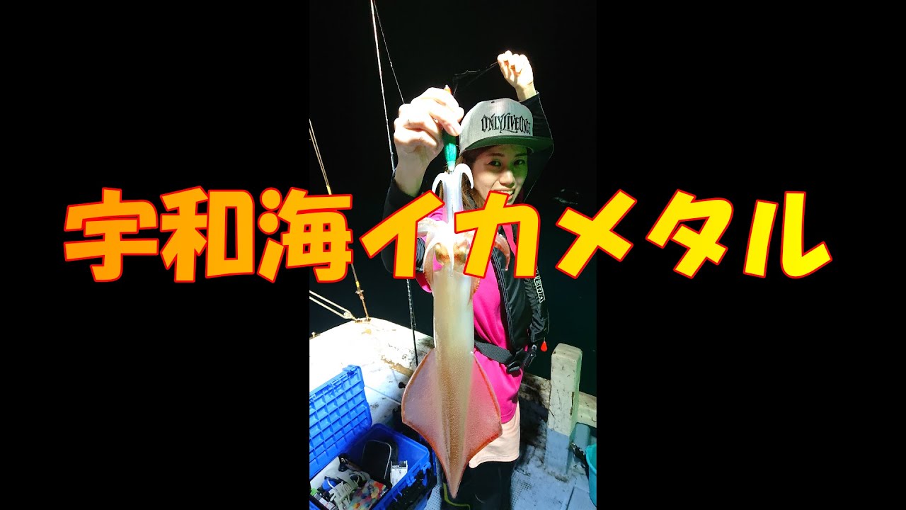 宇和海で大人の夜遊び