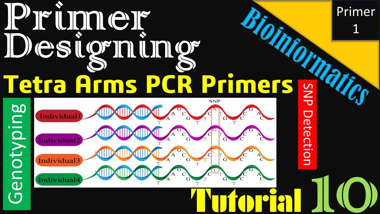 How to Design Tetra ARMS PCR Primers | Tutorial 10