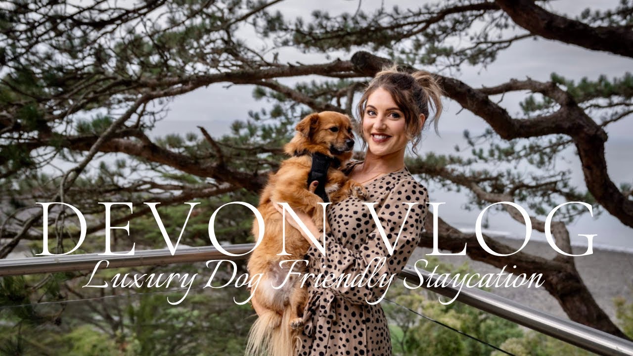 Luxury Dog Friendly UK Holiday Vlog! || Tors Park, Lynmouth Devon Vlog