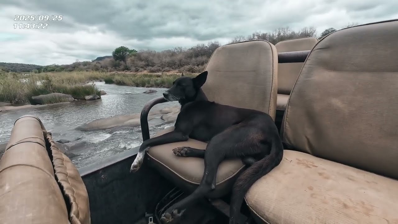 Slow car safari after hike along the Mkhuze.