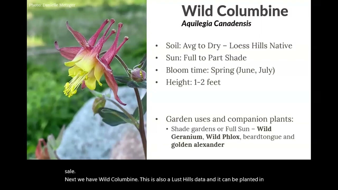 Meet the Plants & Rollout the Grants