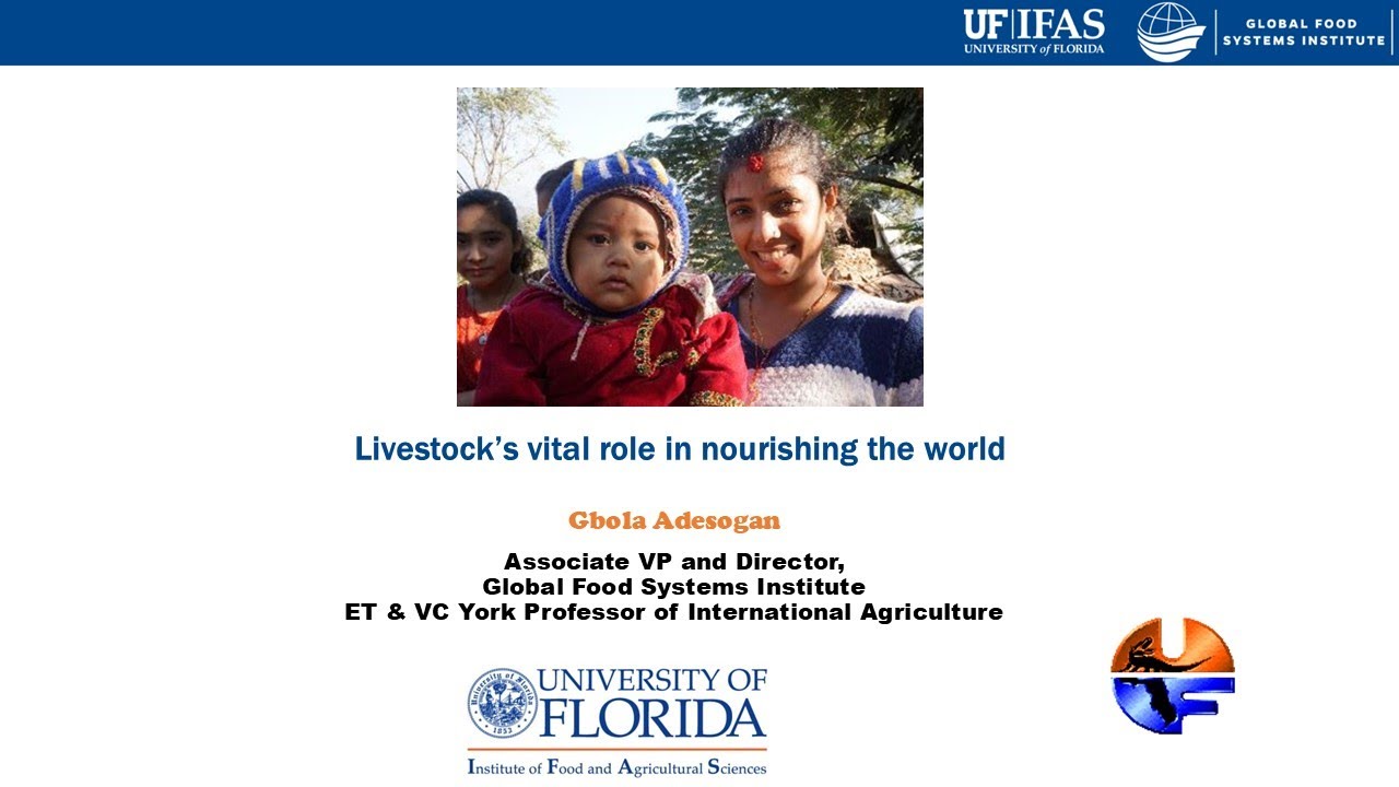 Livestock’s vital role in nourishing the world