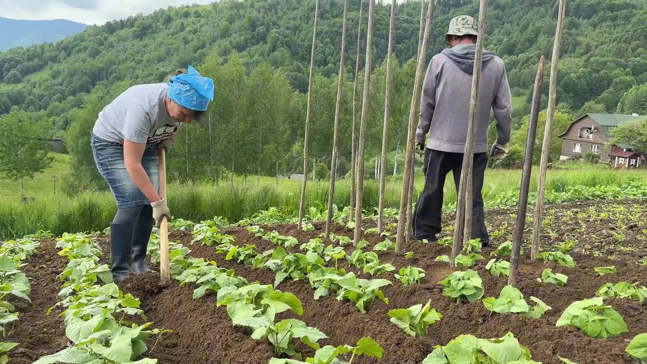 Rural life in the Carpathian Mountains.