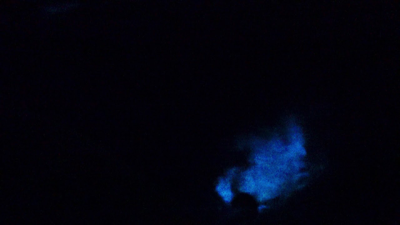 Bioluminescence, Vieques, Mosquito Bay, Puerto Rico