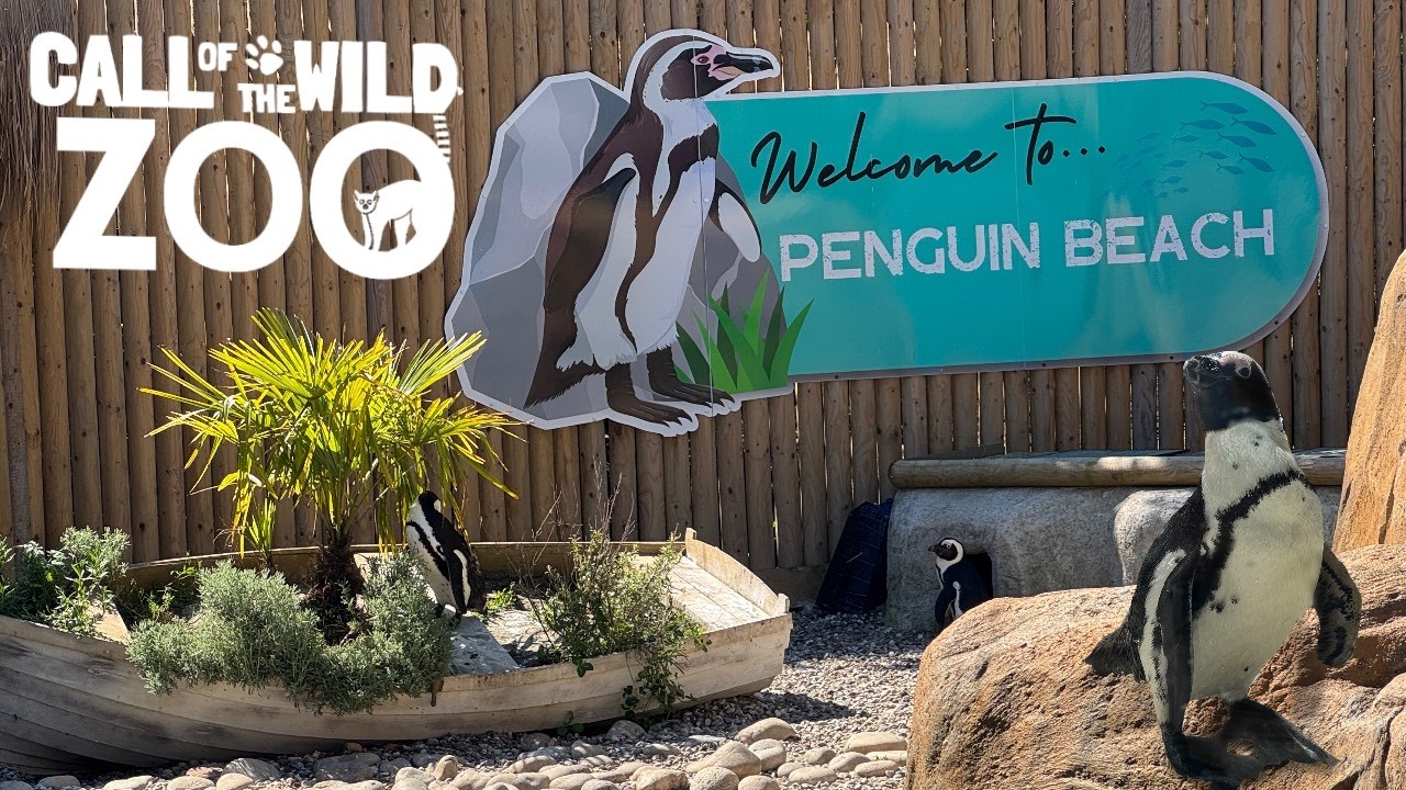 Call of The Wild Zoo ESSEX Walkthrough 2025