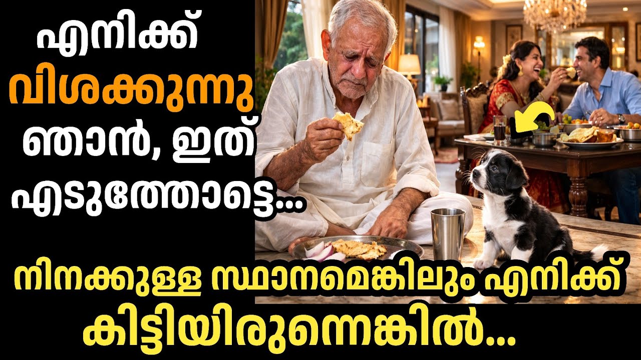 🔥ഒരു റൊട്ടിയെങ്കിലും തരുമോ മോനെ... അച്ഛൻ ചോദിച്ചത് കേട്ട് മകൻ ചെയ്തത്...|manassu nirakkum kadhakal|
