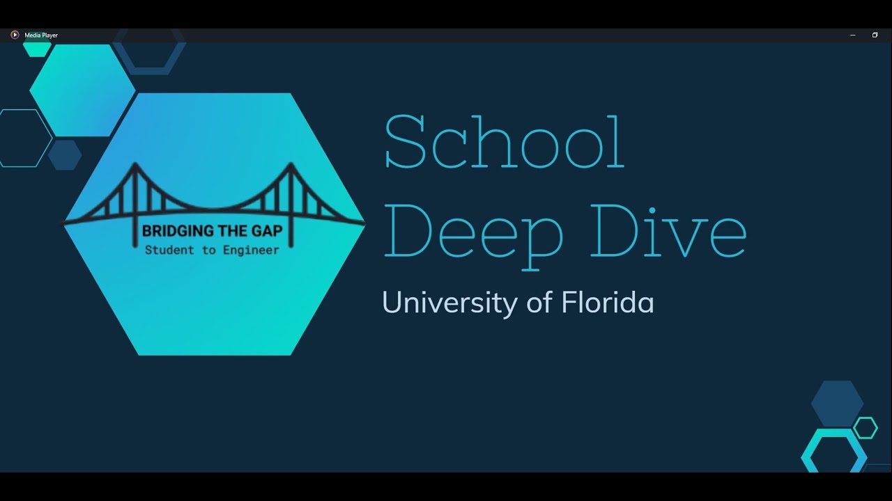 School Deep Dive into the University of Florida