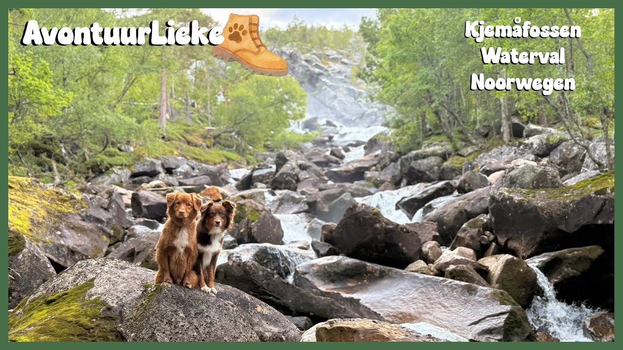 Kjemåfossen Waterval, Noorwegen 🐾 AvontuurLieke