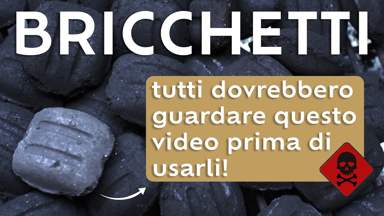 I bricchetti sono davvero nocivi? Siamo andati a testarli in università