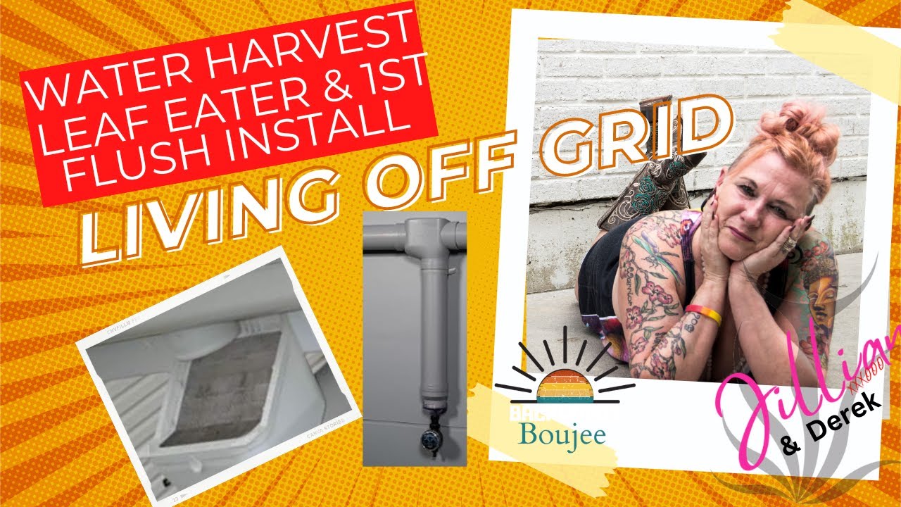 Water Harvesting  Leaf Eater & 1st Flush Install