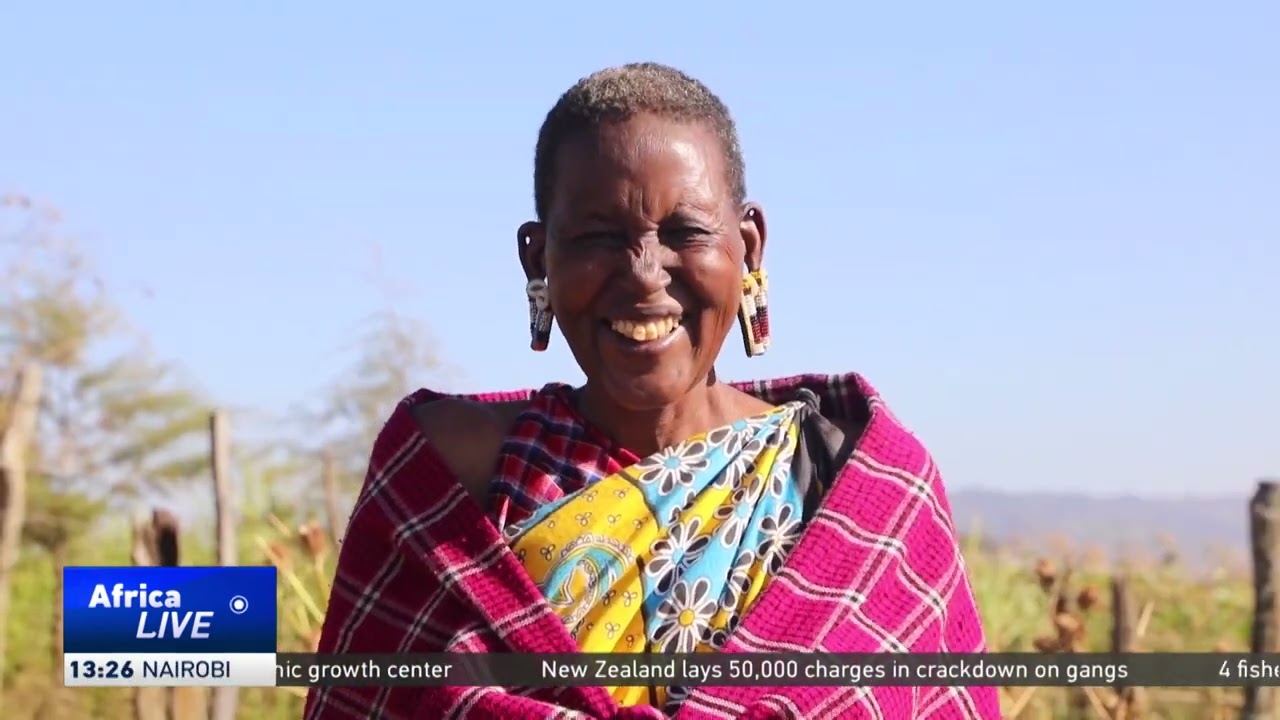Kenyan pastoralists embrace new methods to save livestock from drought
