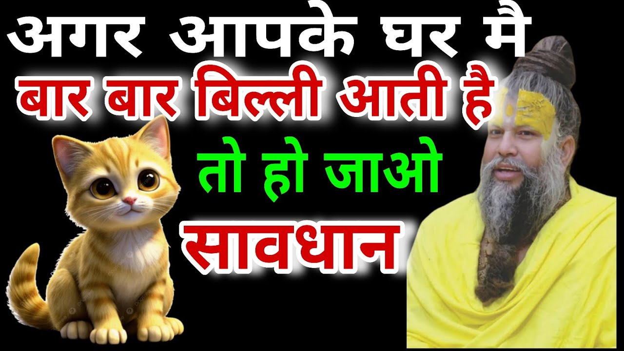 अगर आपकी घर में बार-बार बिल्ली आती है… प्रेमानंद महाराज जी का चेतावनी संदेश 🌺|