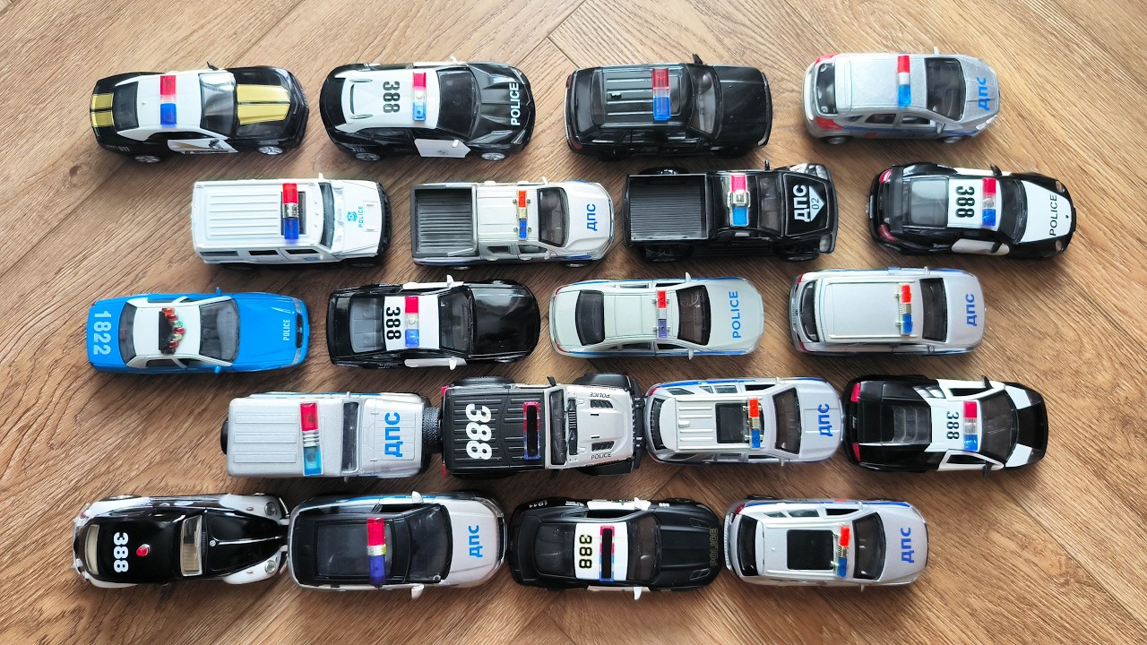Police Cars Gathered in One Place