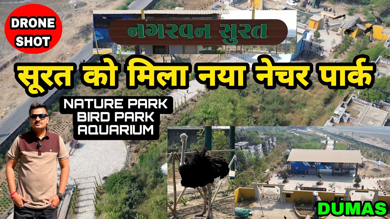 Nagar Van Surat | Nature Park in Surat | Nagarvan Garden Surat Dumas | Nature Bird Park | Surat Vlog