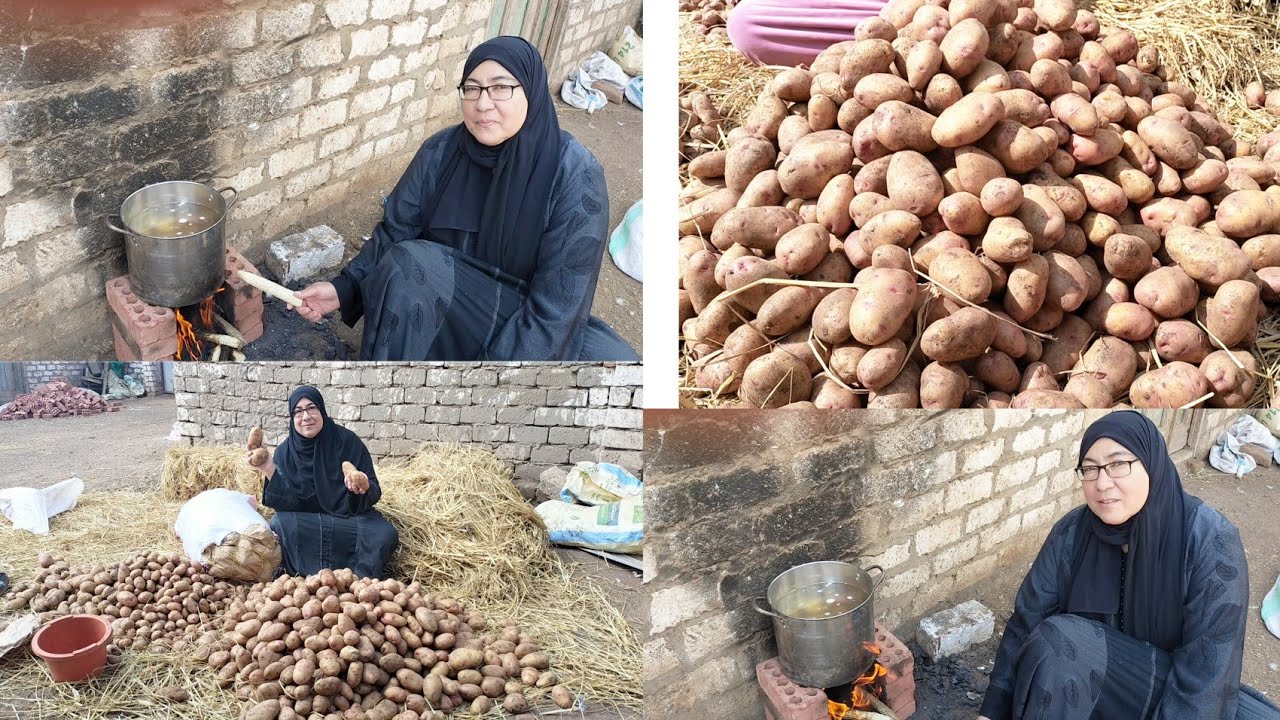 الطريقة الصحيحة لتخزين البطاطس طول العام ☝️ونصايح للافادة مش للتريكا على خلق الله 🤔