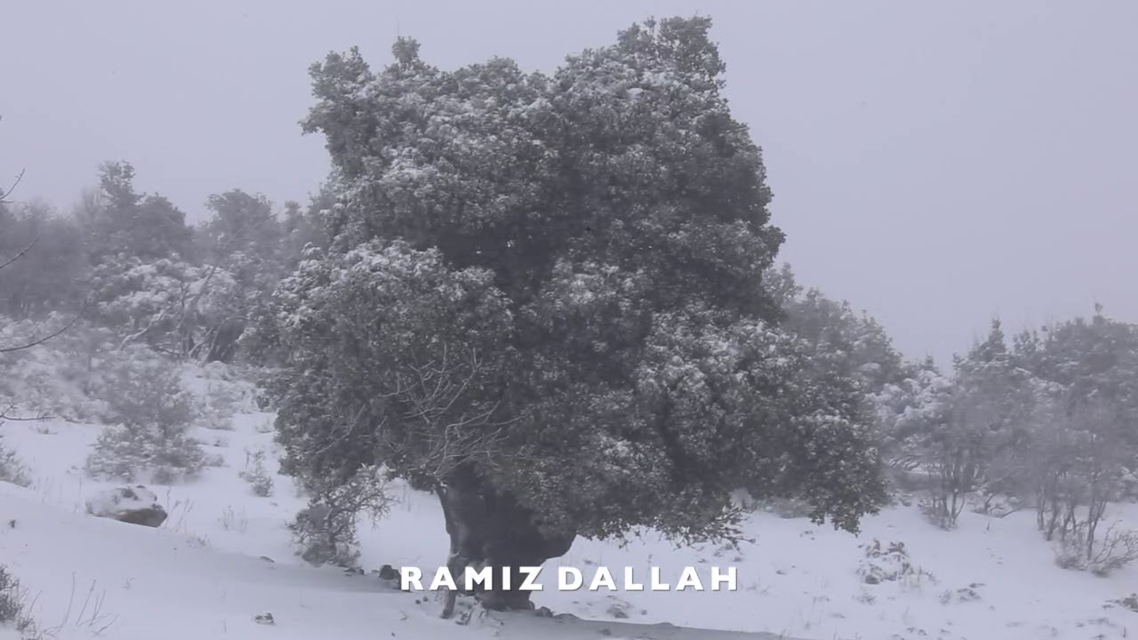 snowing in chebaa 17/02/2021 تساقط الثلوج في شبعا جنوب لبنان