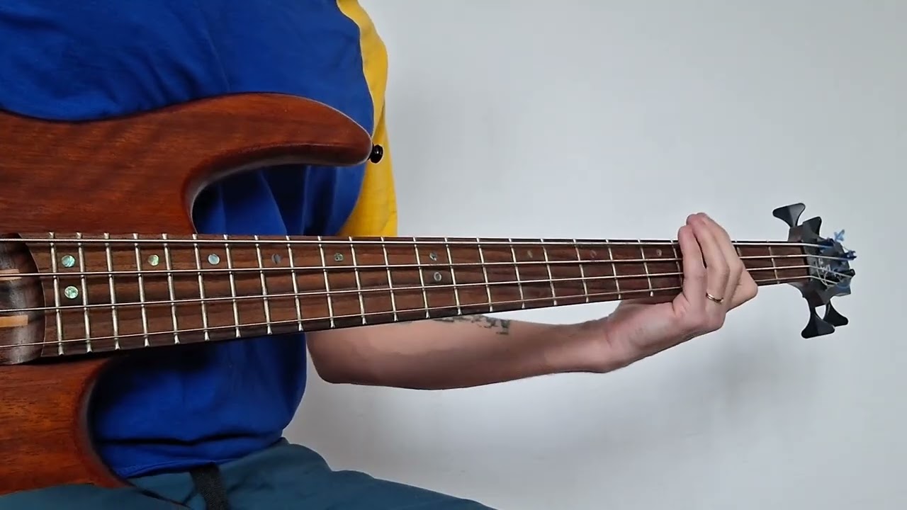 Maroon 5 - Back at your door (bass cover)