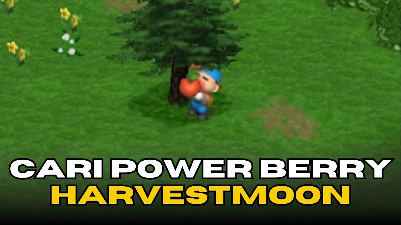 Cari 10 Power Berry | Harvestmoon Back To Nature