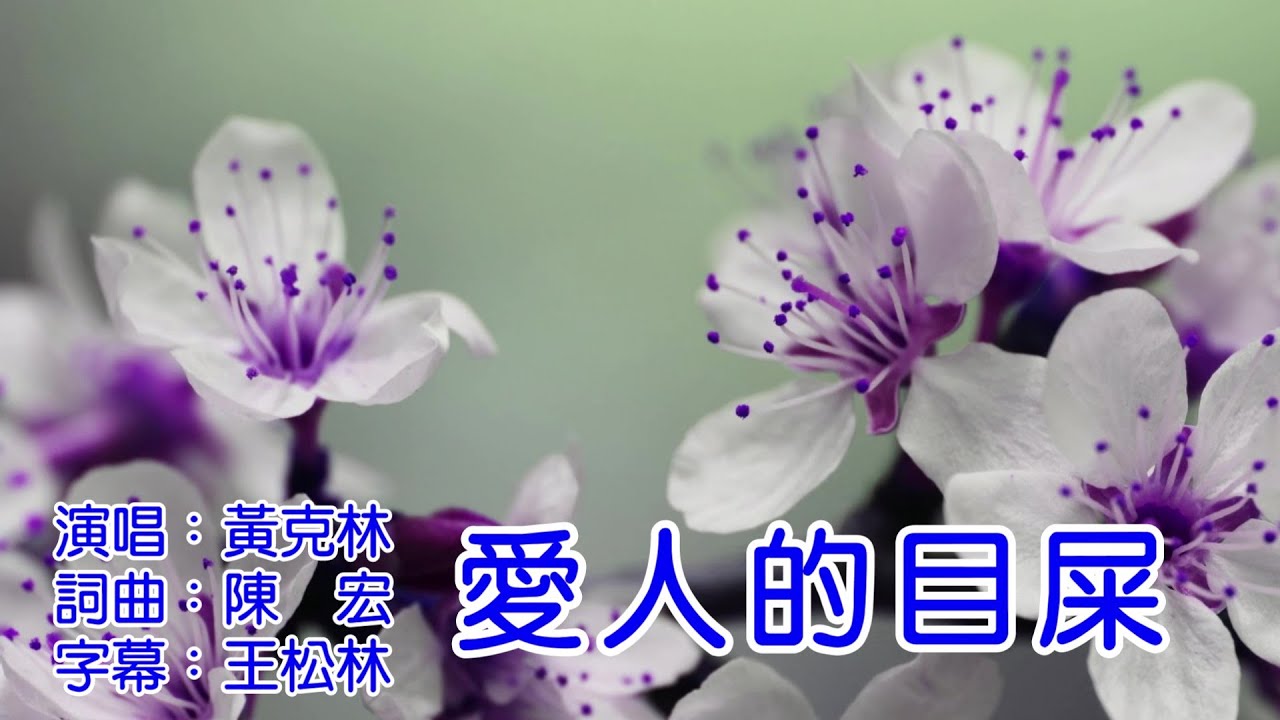 黃克林 愛人的目屎