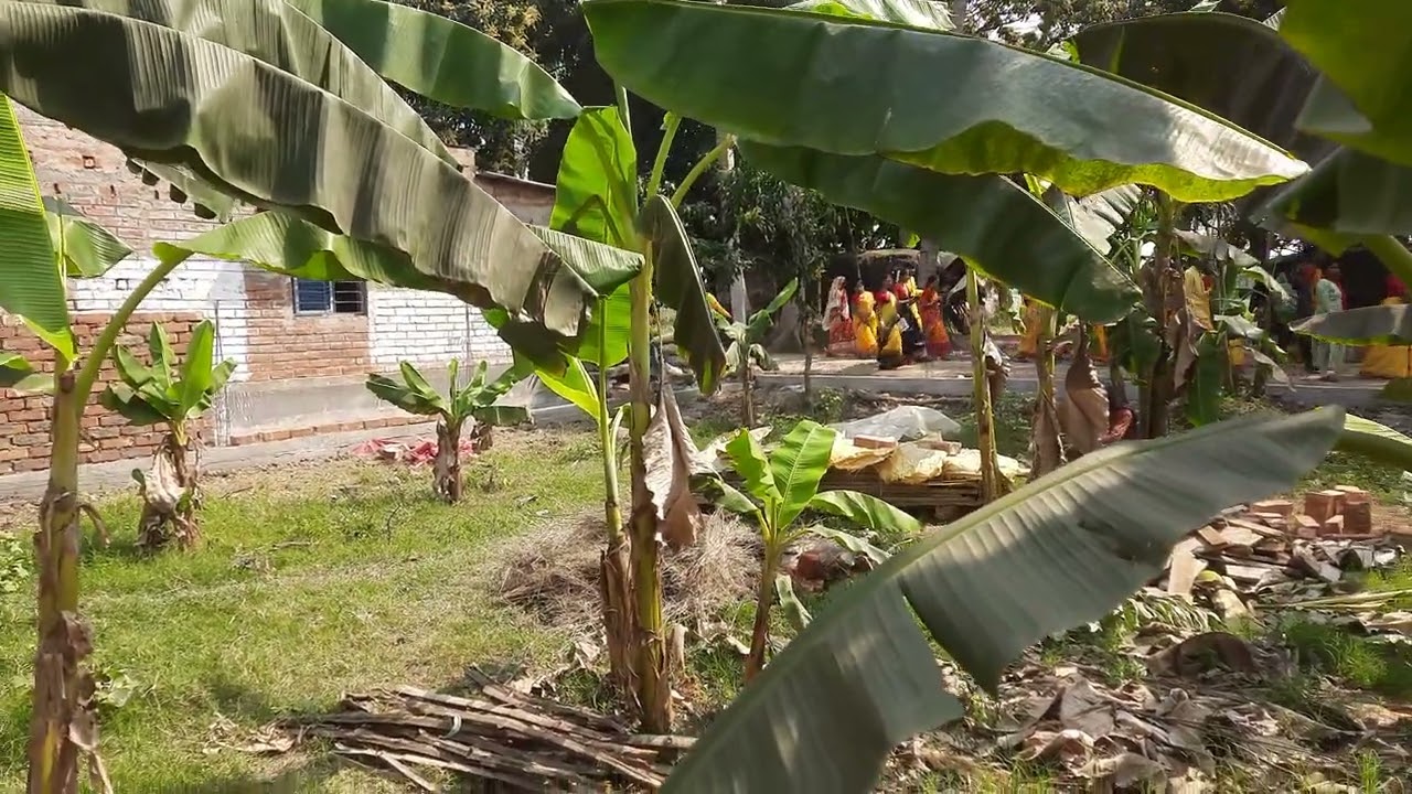 Country side