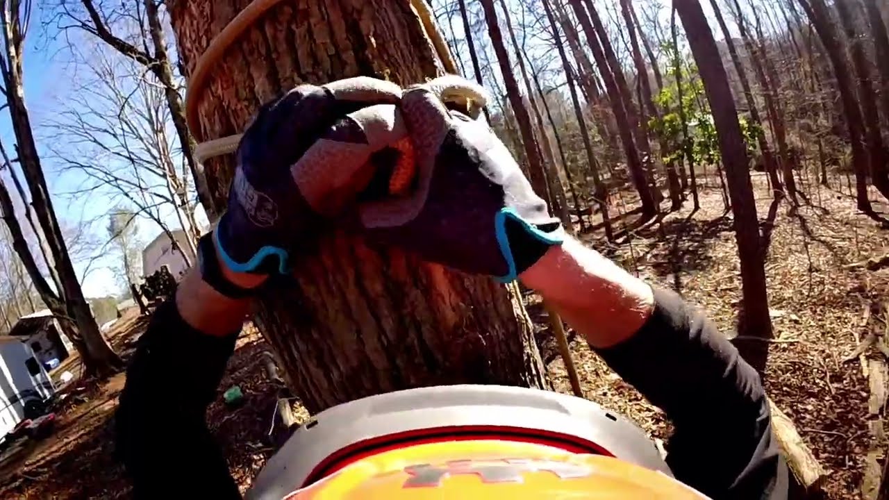 This Dead Tree Was Already Topped by a Storm — Dangerous Removal POV GO PRO Hero