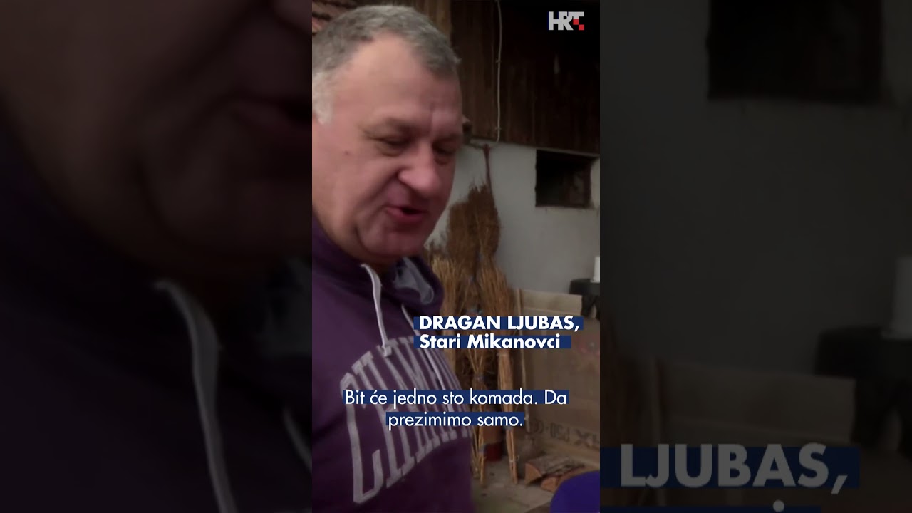 Od kobasica do čvaraka - tradicionalna svinjokolja oživila slavonska dvori&scaron;ta
