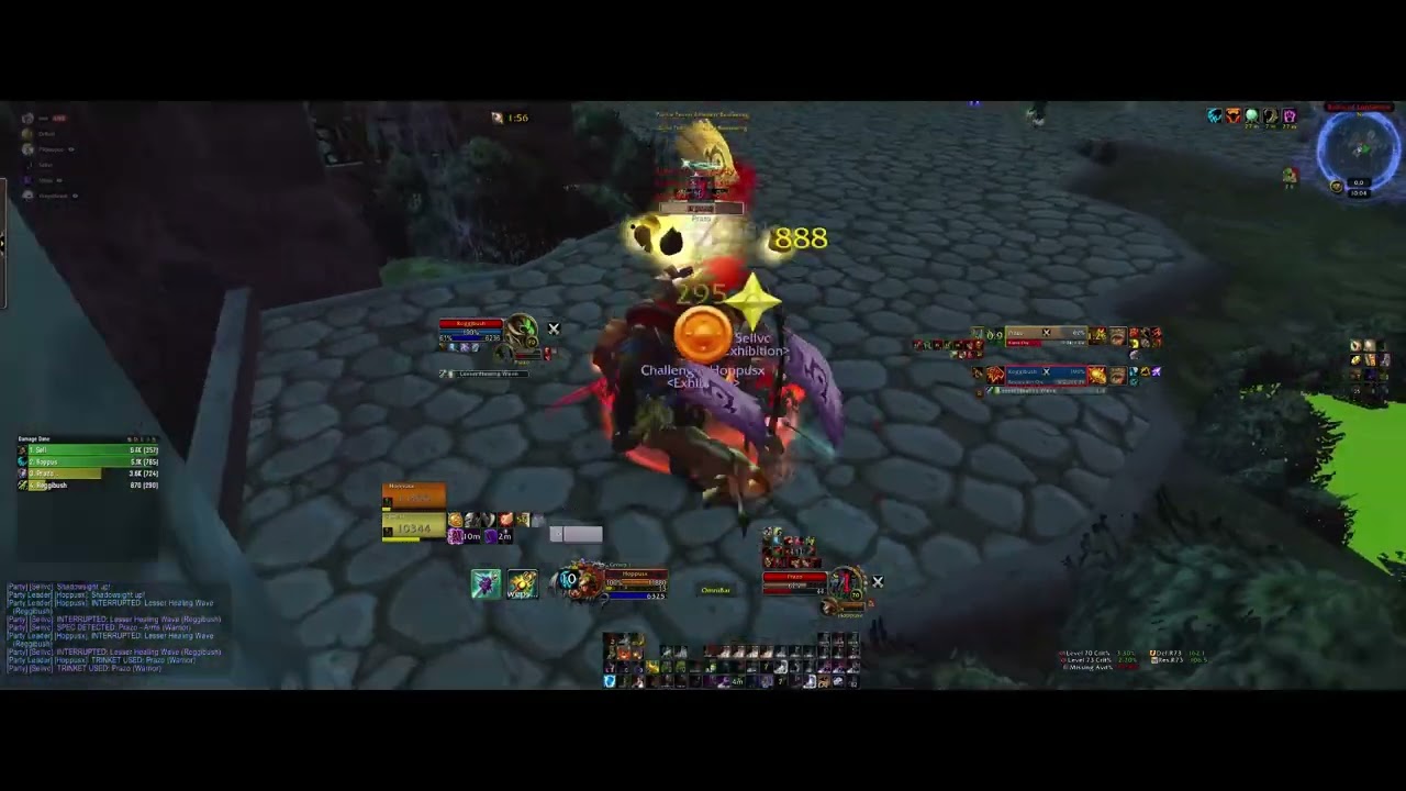 WoW: TBC Classic Feral Druid 2v2. End of season push. *INSANE 1v1*