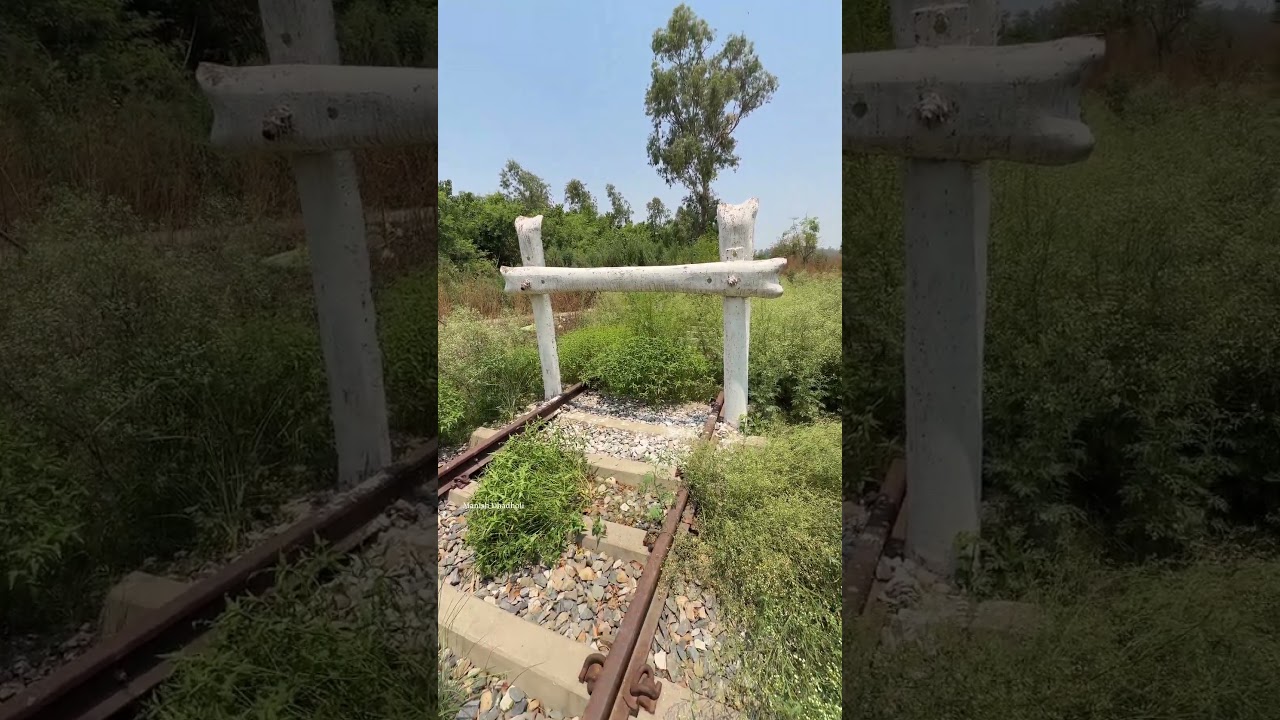 A Symbol of the India-Pakistan Partition