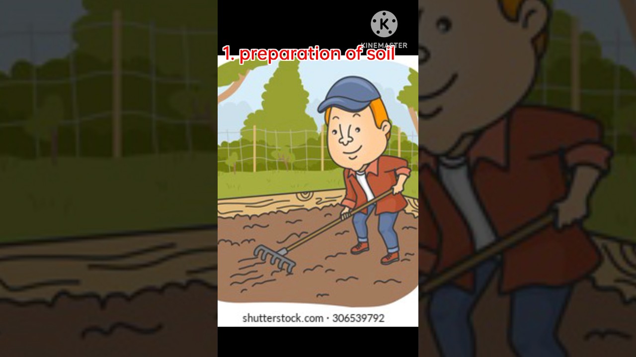 Steps of Agriculture (fully Animated)😎🔥 #youtubeshorts #shorts #trending