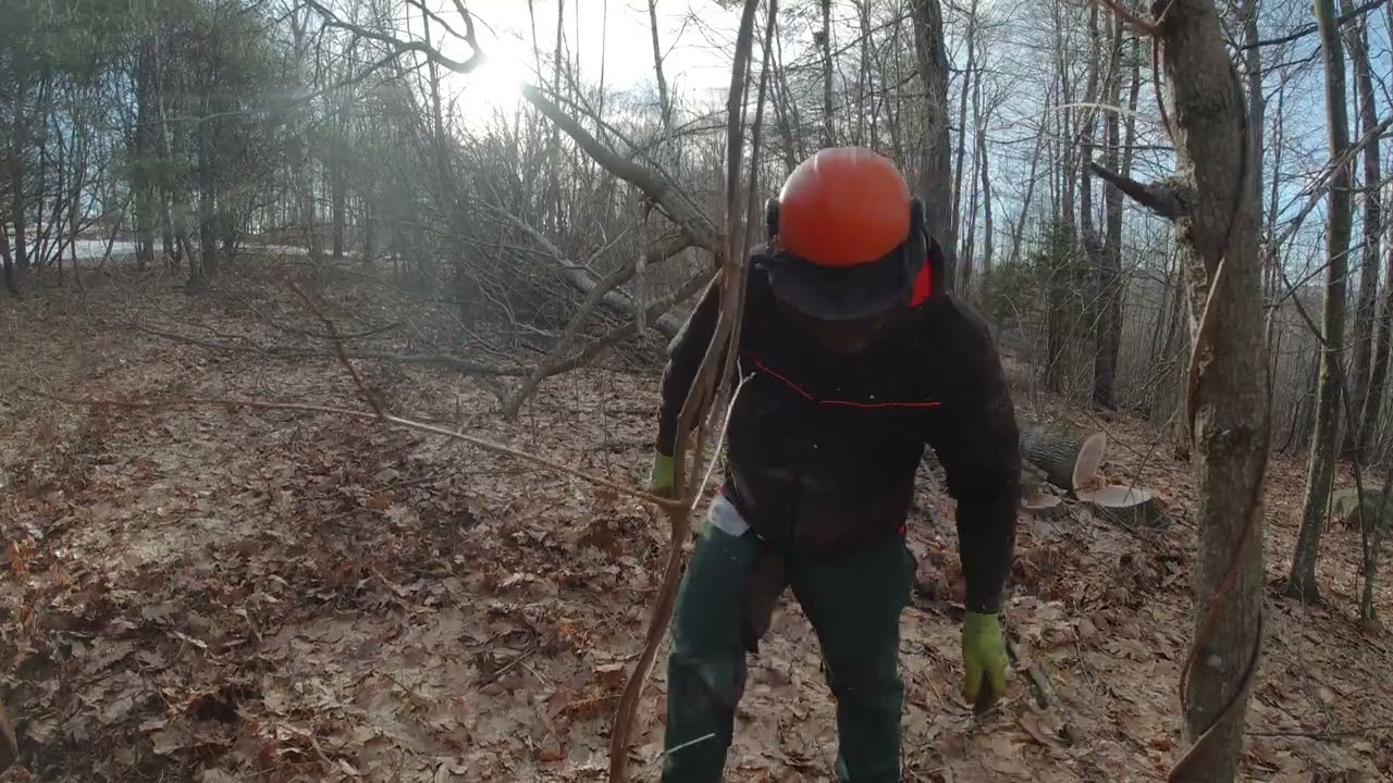Logging with the John Deere 440c