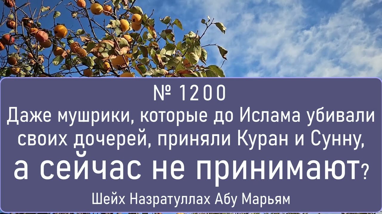 Даже мушрики, которые до Ислама убивали своих дочерей, приняли Куран и Сунну, а сейчас не принимают?