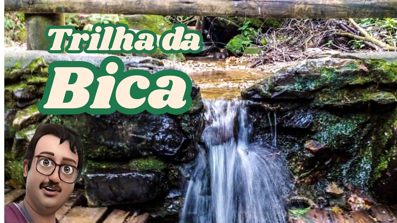 Trilha da Bica - Pico  do Jaraguá
