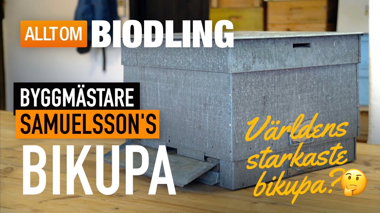 Byggmästare Samuelssons Bikupa