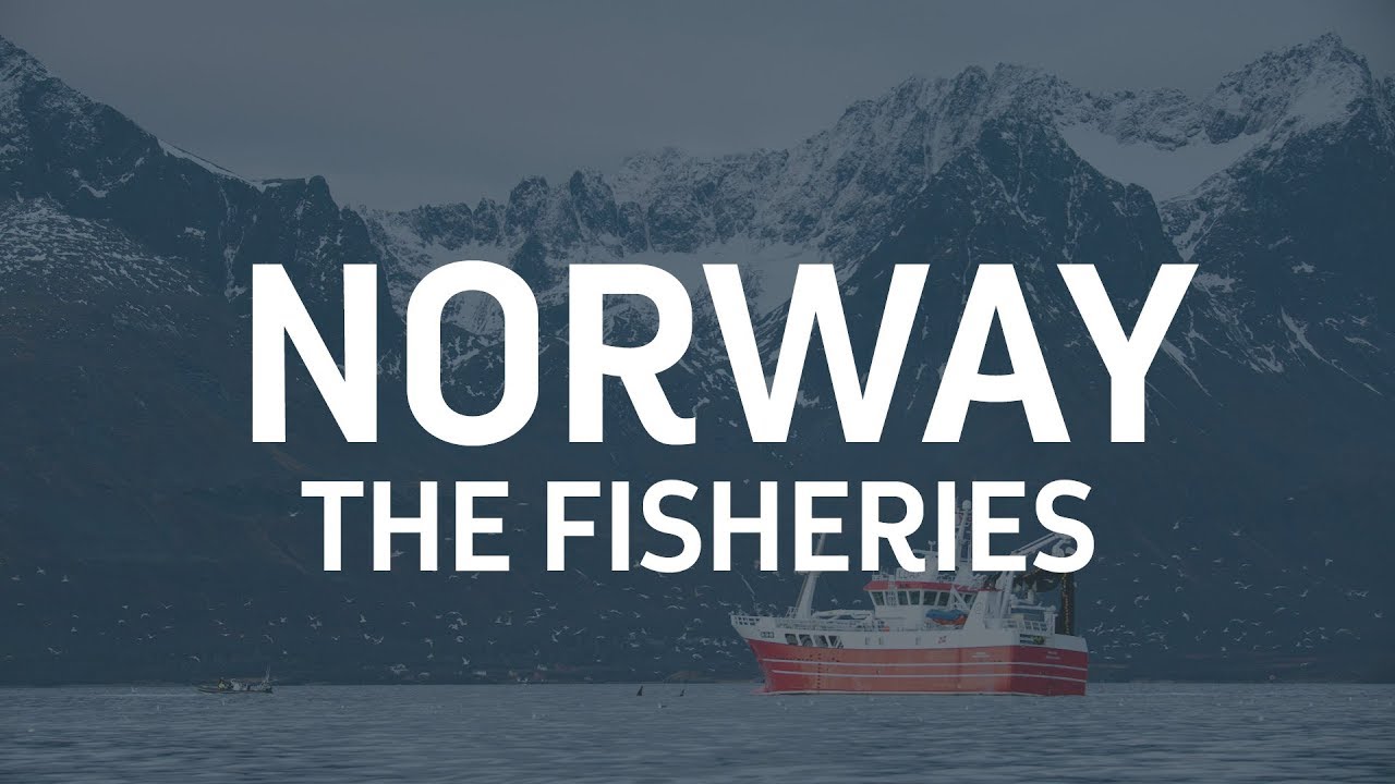 Part Three: The Fisheries
