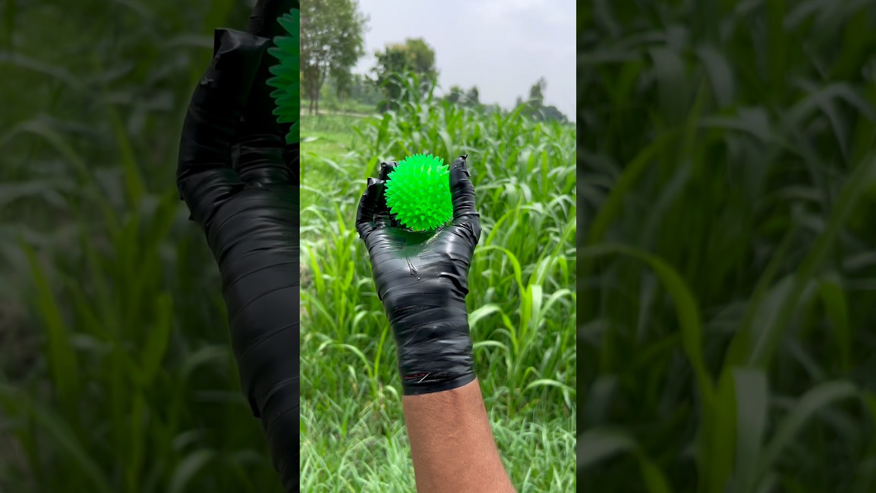 ✅The guy shows SURVIVAL skills: DIY Poly Bag Saved My Cricket Ball💦 #survival #camping #outdoors
