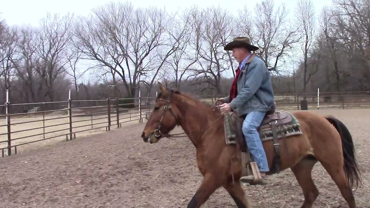 Kill Pen Mustang   Part 22   Six months of training