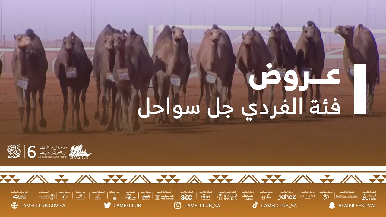 📹 جانب من عروض فئة الفردي جل سواحل يوم السبت ٤/ديسمبر/٢٠٢١م