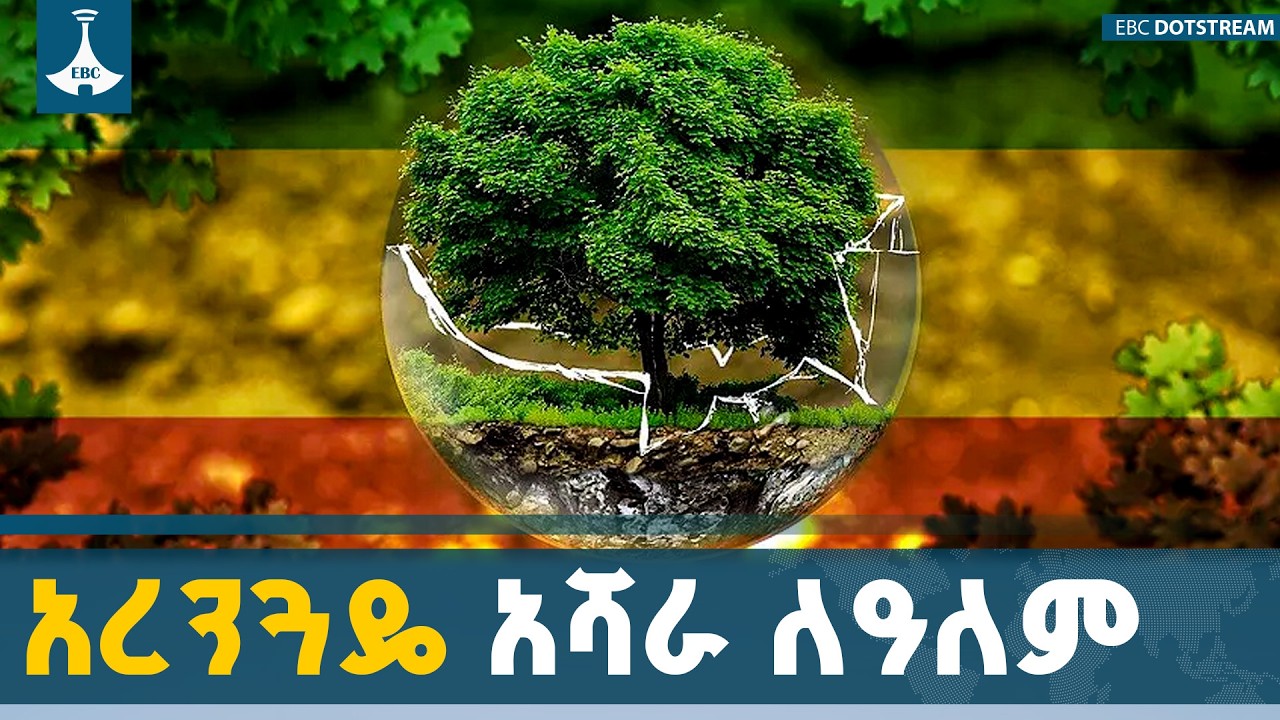 ኢትዮጵያ የአየር ንብረት ለውጥን ለመከላከል ከልማትና ከኢኮኖሚ ዕድገት ጋር የተጣጣሙ እርምጃዎችን እየወሰደች ነው | Green Legacy |